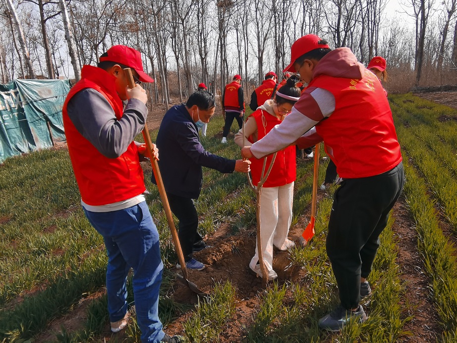 師生共同參與植樹活動.jpg